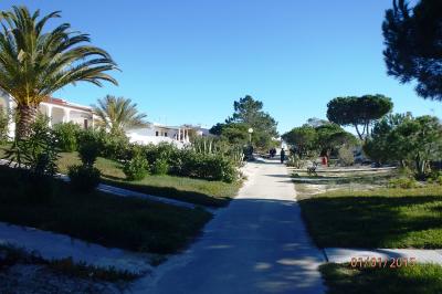 Rue principale d'Armona
