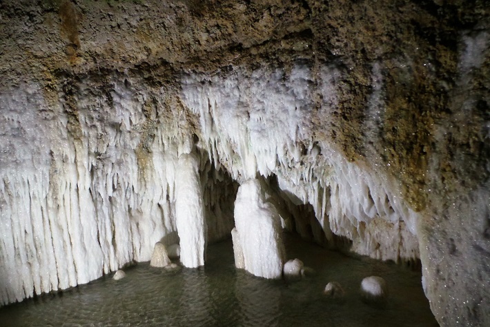 Harrisson's cave