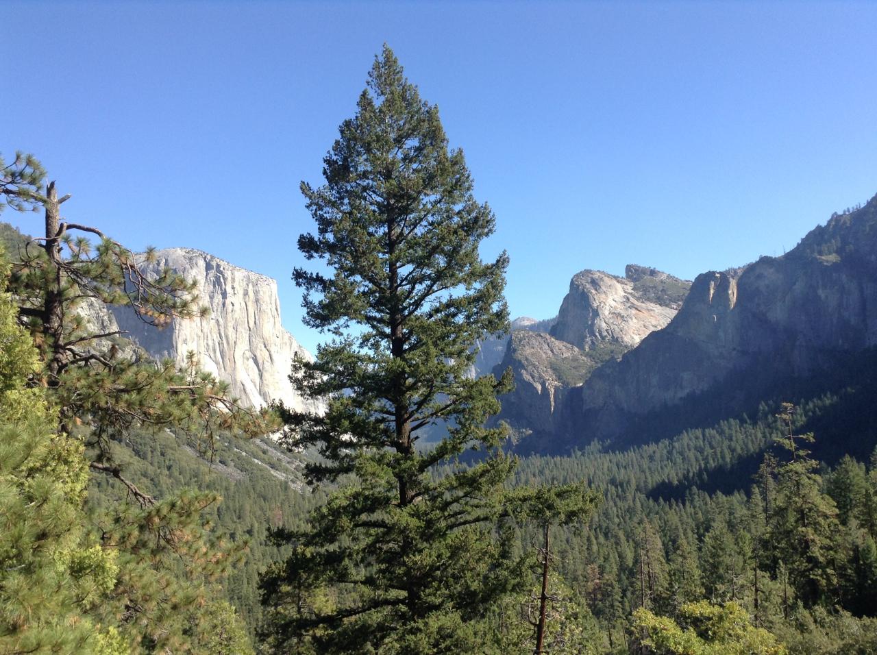 Yosemite Park : vue sur El Capitan 