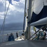 Grain dans le canal des Saintes