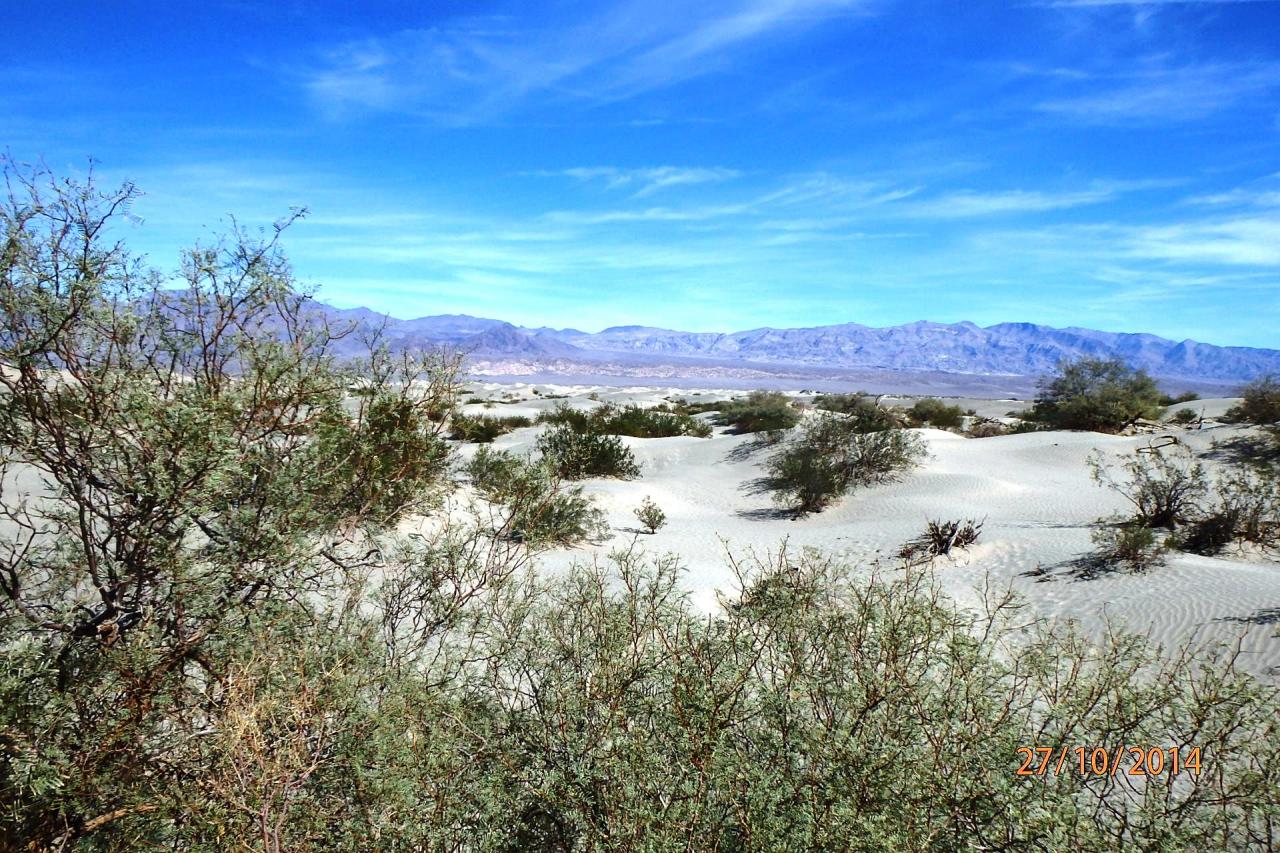Dunes de sable