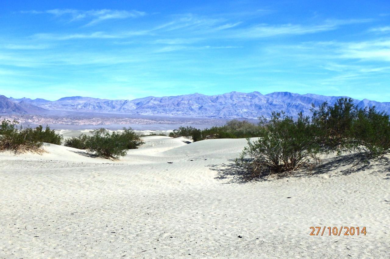 Dunes de sable