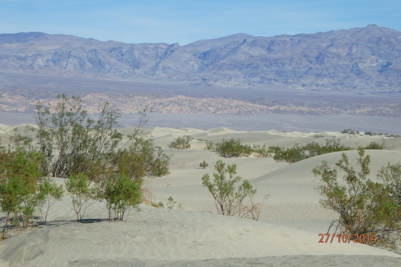 Dunes de sable