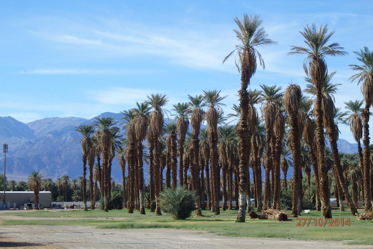 Une oasis
