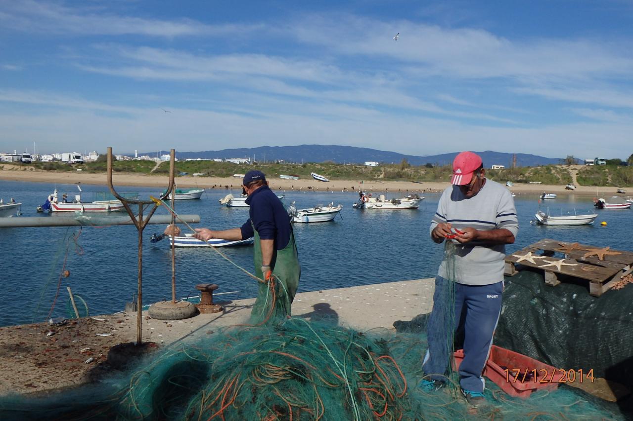Les pêcheurs relèvent leurs filets sur le quai