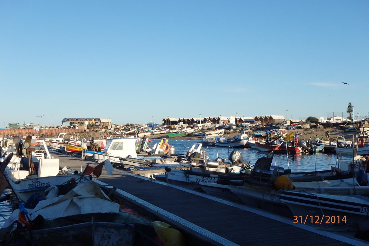 Culatra : port de pêche