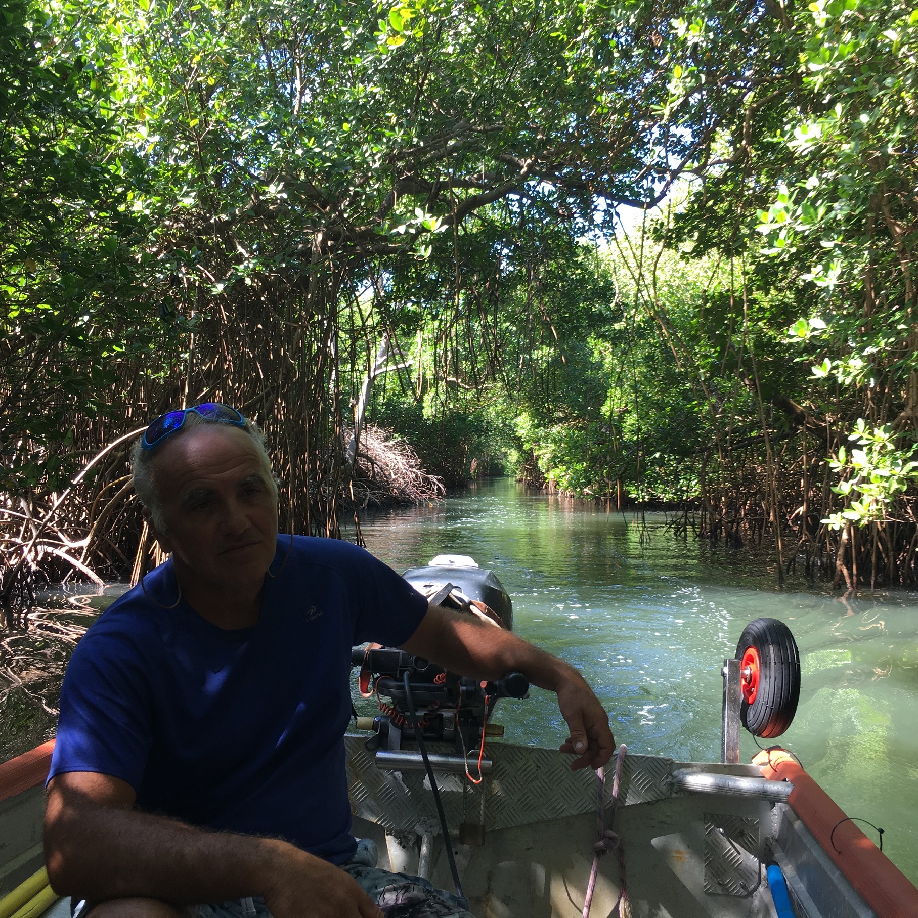 Thierry dans la mangrove
