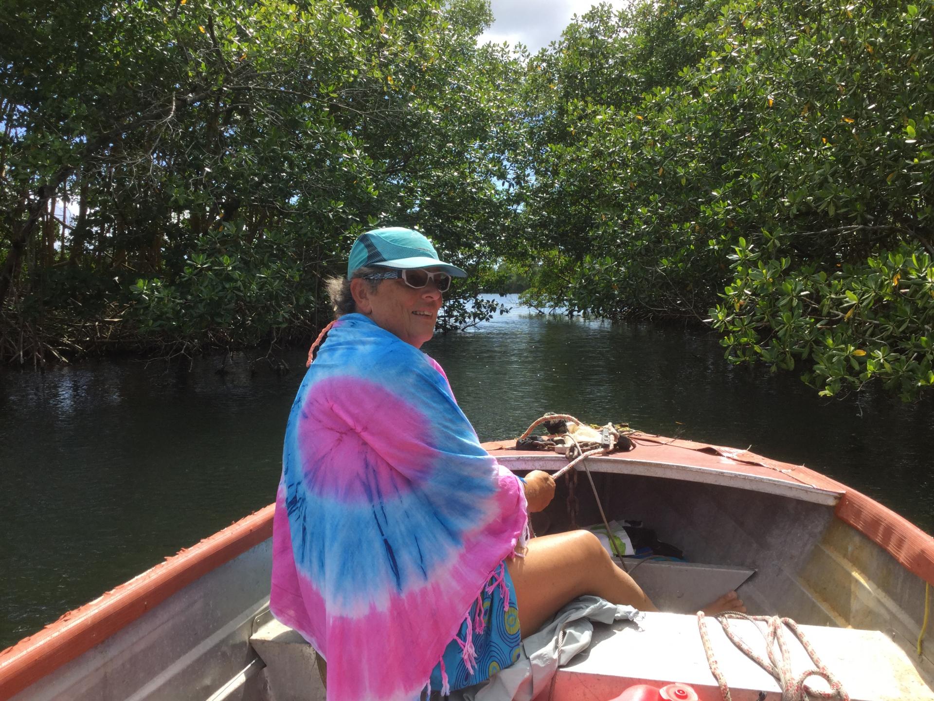 Exploration de la mangrove en annexe